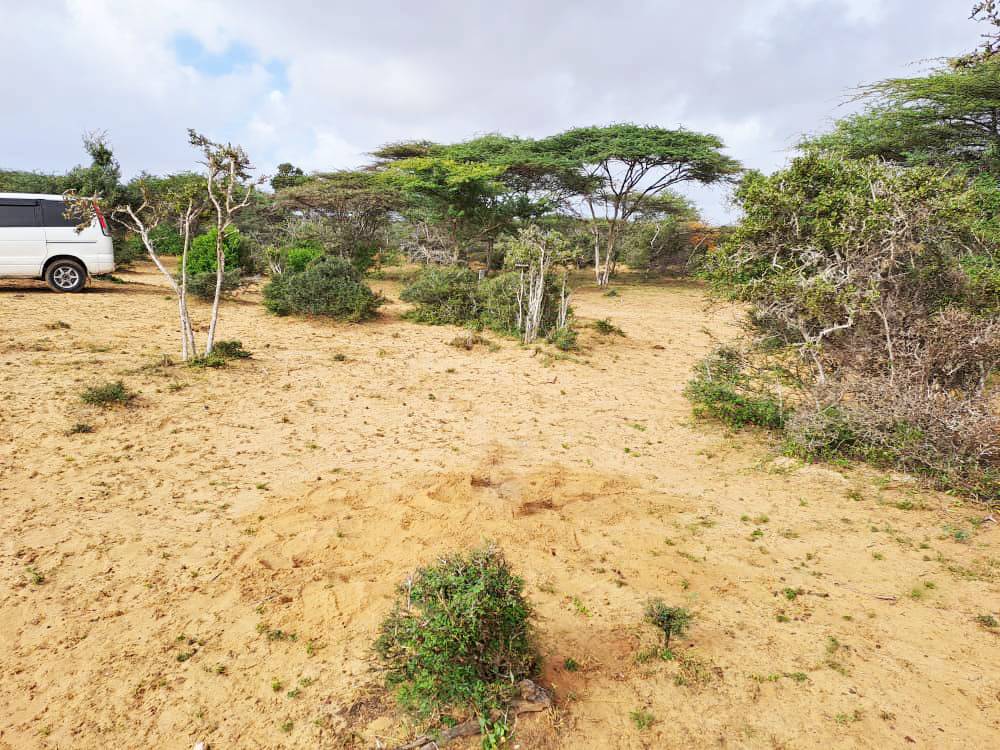 Dhulal Maalgashi Mogadishu, Somalia Raasimaal Real Estate